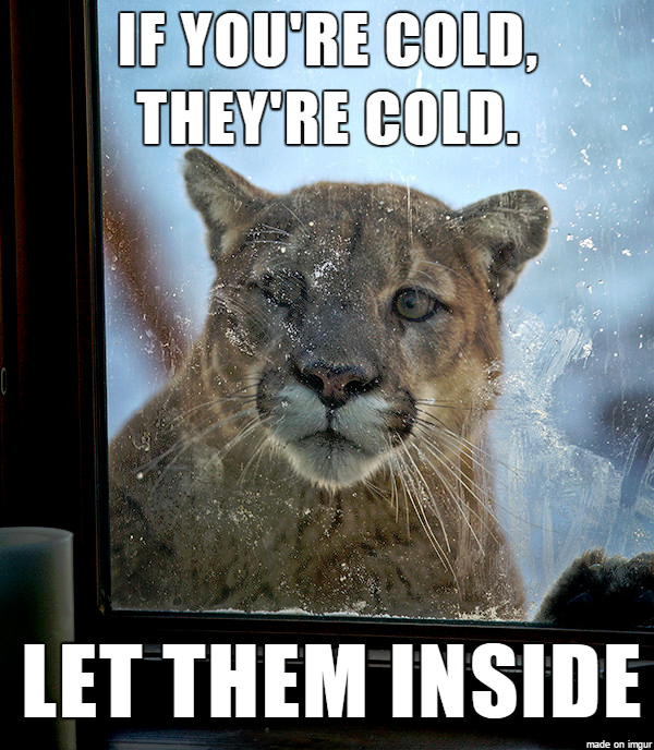 IF YOU'RE COLD, THEY'RE COLD. LET THEM INSIDE made on imgur