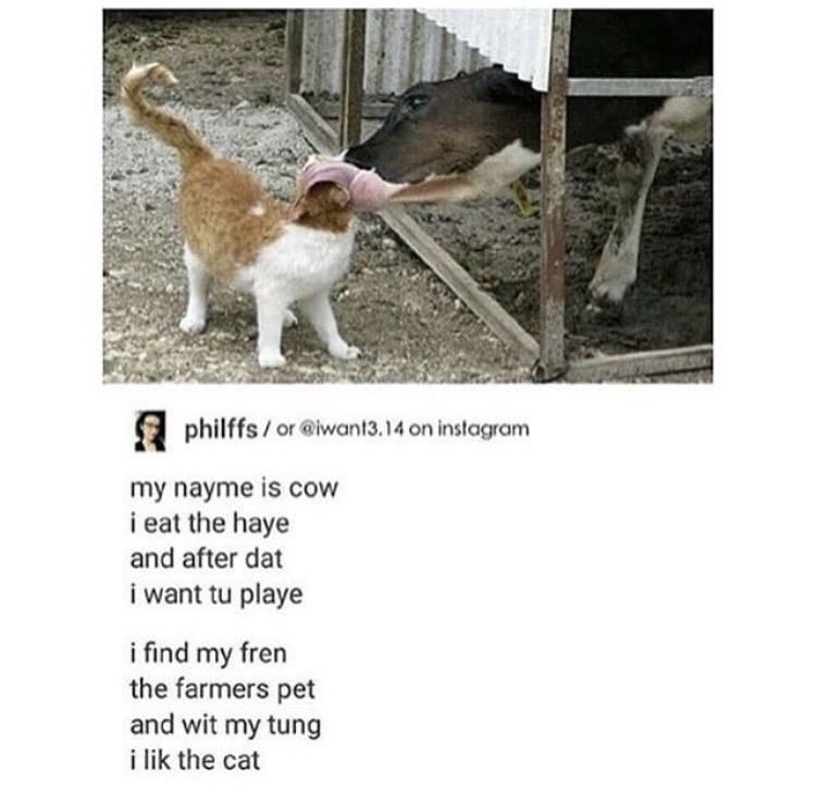 philffs/or @iwant3.14 on instagranm my nayme is cow i eat the haye and after dat i want tu playe i find my fren the farmers pet and wit my tung i lik the cat