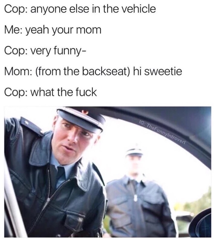 Cop: anyone else in the vehicle Me: yeah your mom Cop: very funny Mom: (from the backseat) hi sweetie Cop: what the f---