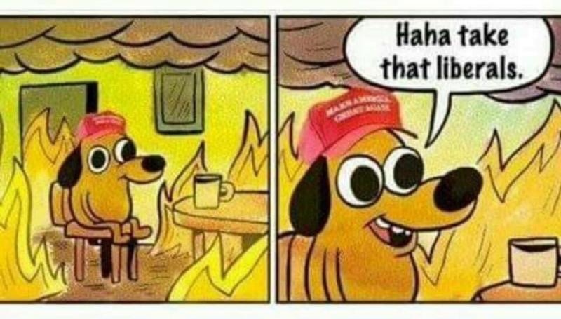 Image result for haha libs this is fine meme