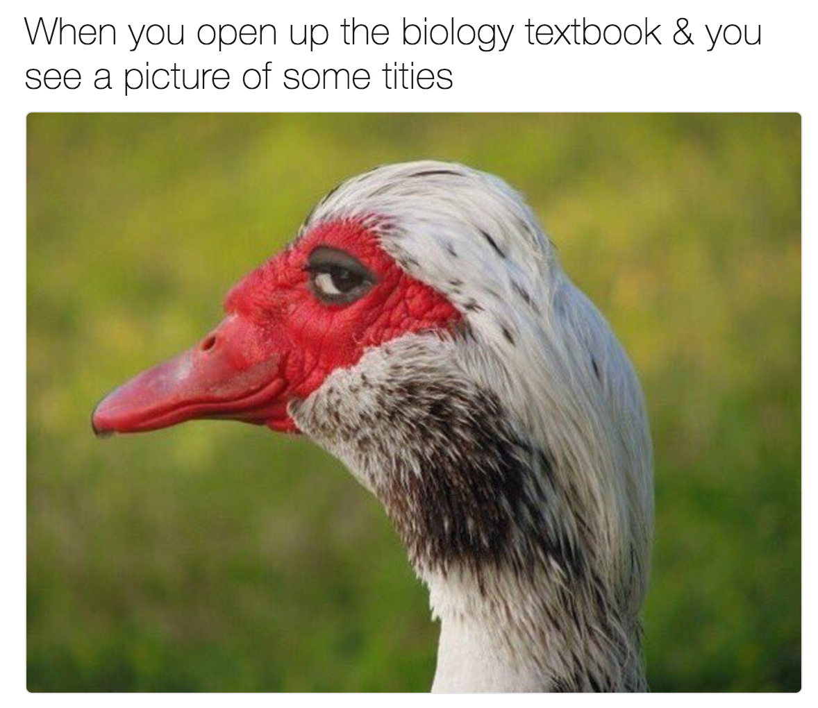 When you open up the biology textbook & you see a picture of some t-----