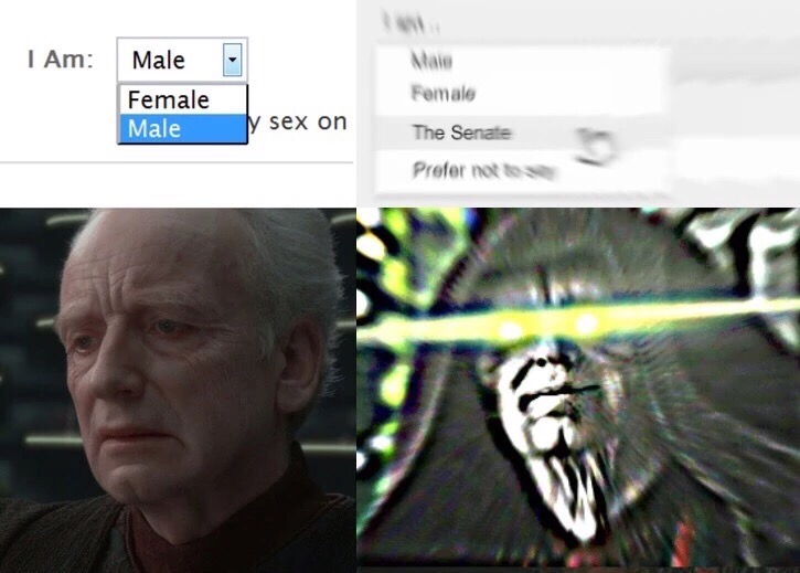 Maie Female The Senate Prefer nottse l Am: Male Female Male y sex on