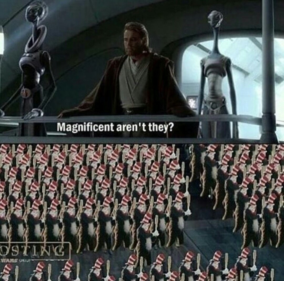 Magnificent aren't they?