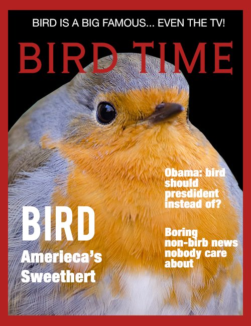 BIRD IS A BIG FAMOUS... EVEN THE TV! BIRD TIME Obama;bird should presdident instead of? BIRD Boring non-birb news nobody care about Amerieca's Sweethert