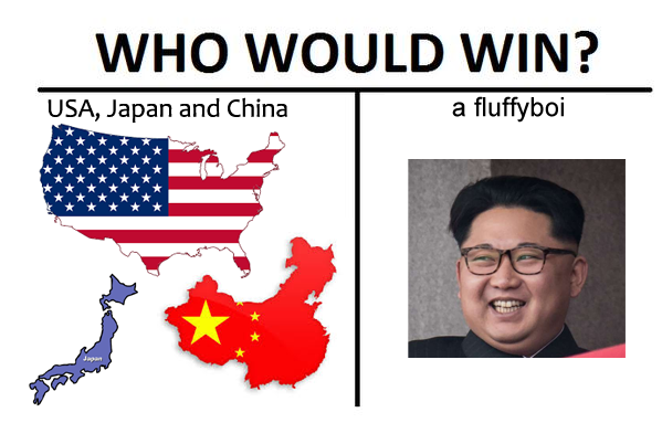 WHO WOULD WIN? USA, Japan and China a fluffyboi