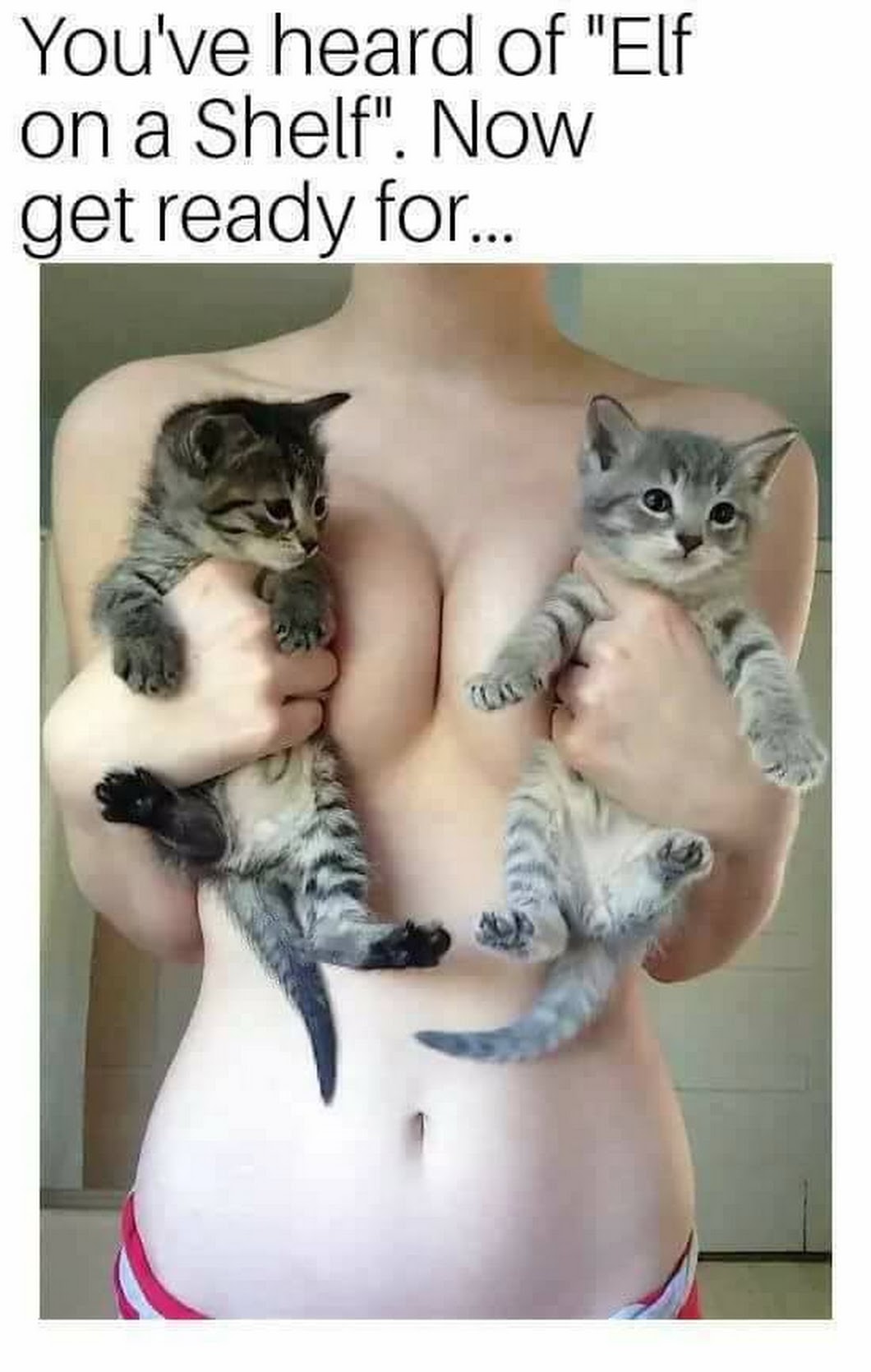 Kitty on a titty