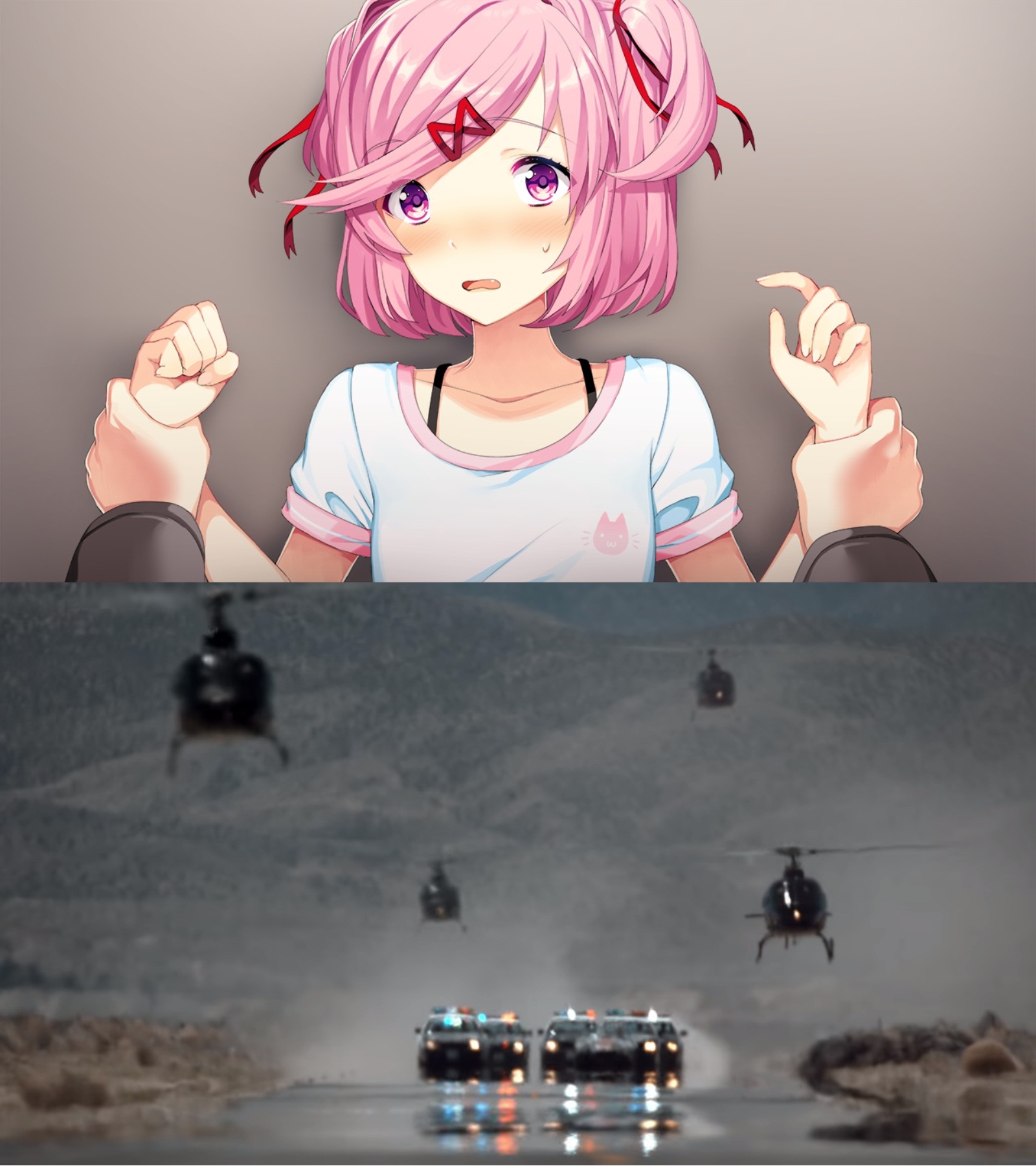 Loli Patrol Doki Doki Literature Club Know Your Meme