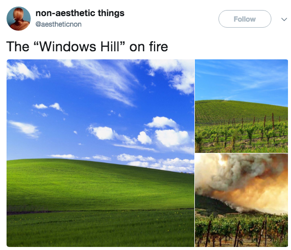 non-aesthetic things @aestheticnon Follow The "Windows Hill" on fire