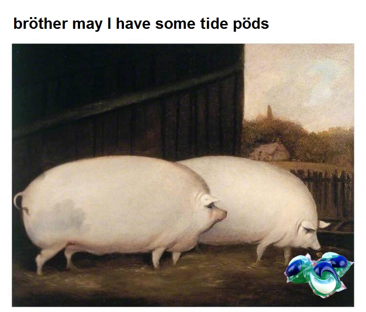 Brother May I Have Some Oats Image Gallery Know Your Meme Brother May I Have Some Oats Image Gallery Know Your Meme