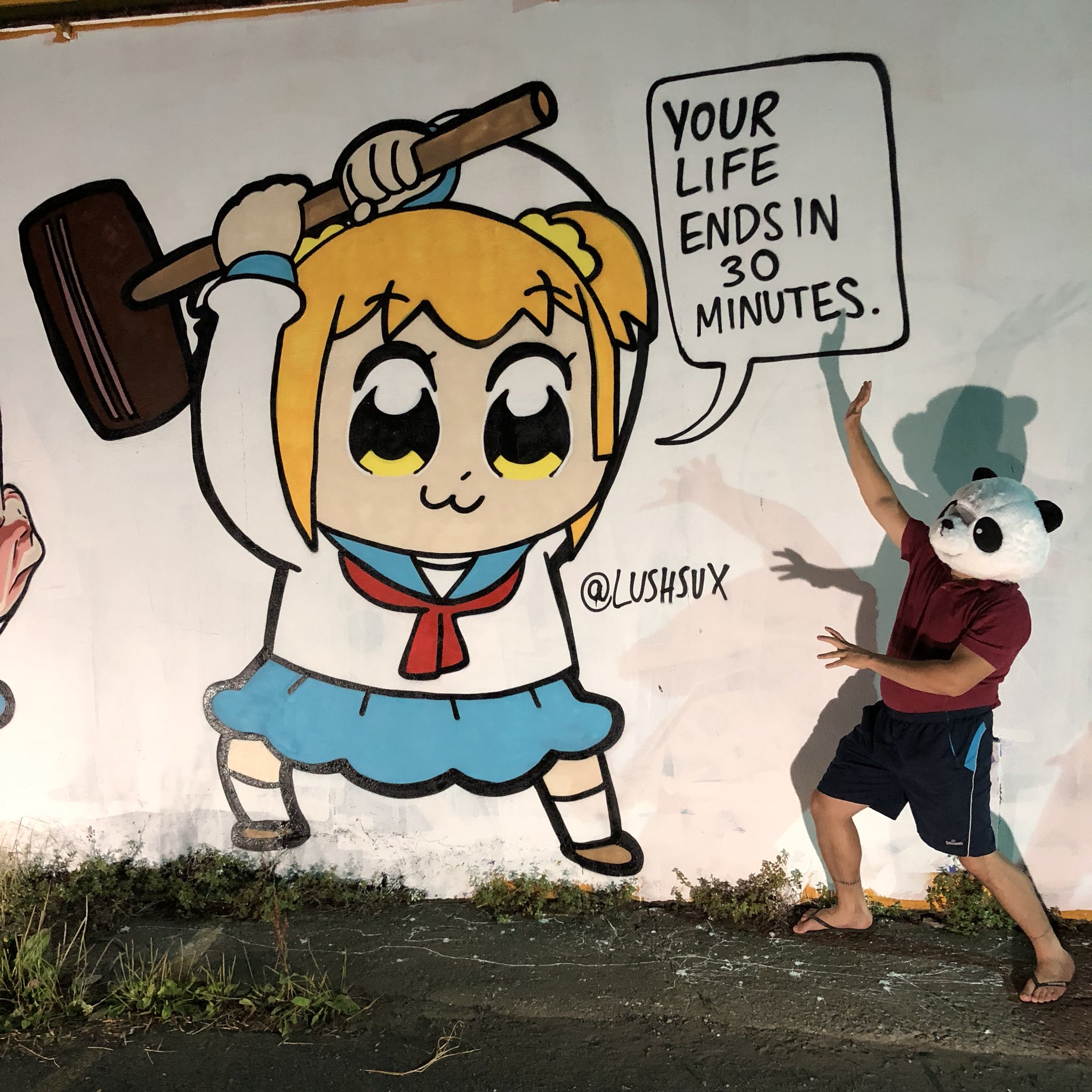 The other Lushsux mural that had to be removed
!https://i.kym-cdn.com/photos/images/original/001/335/220/f7b.jpg_large!:https://knowyourmeme.com/photos/1335220-pop-team-epic