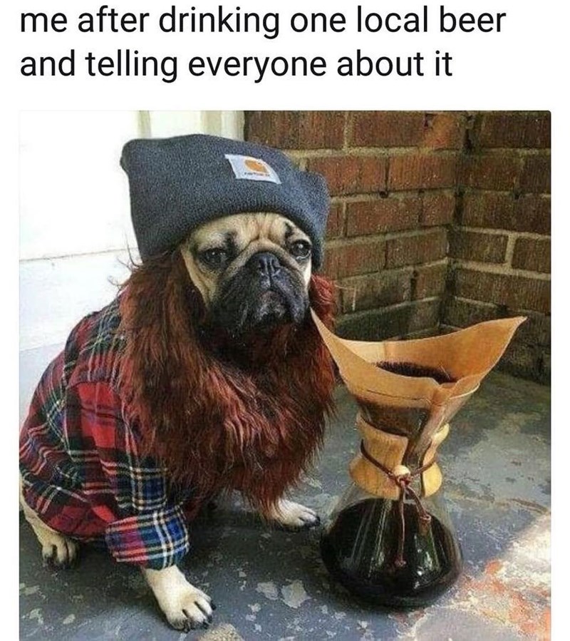 Beer of a dog dressed as a hipster joking that he makes his own beer and told everyone about it.