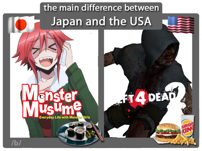 The Main Difference With Japan And USA 2 The Main Difference Between Europe And USA Know 