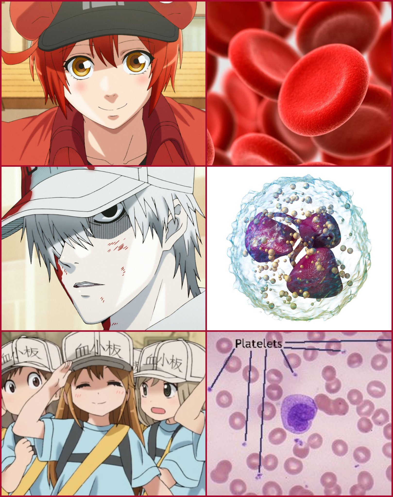 Red Blood Cell Anime Wallpapers  Wallpaper Cave