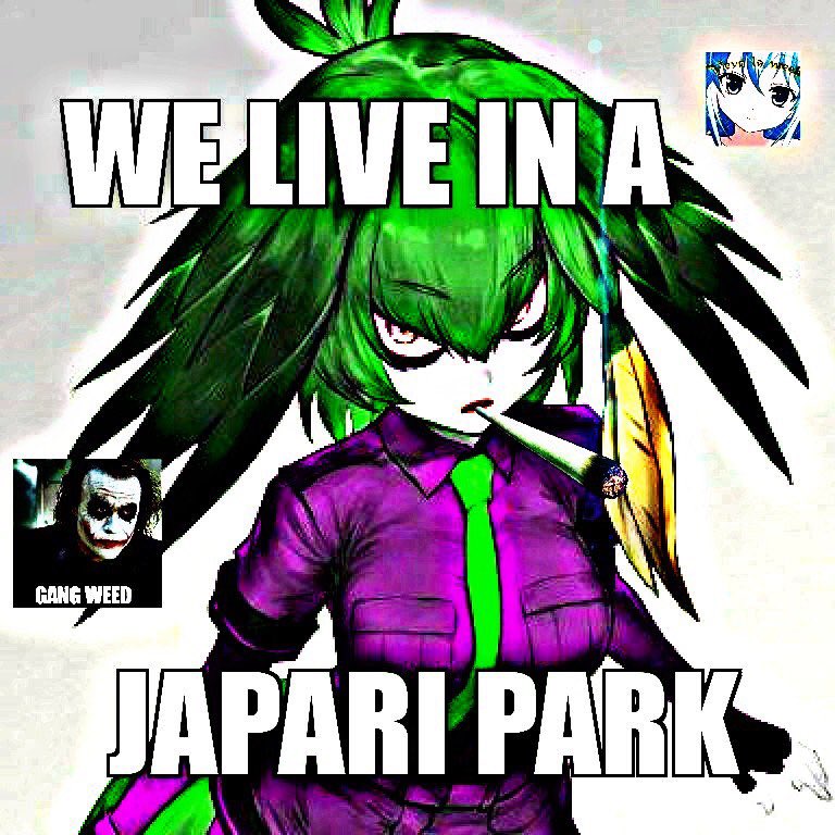 We Live In A Japari Park Gamer Joker Gamers Rise Up We Live In A Society Know Your Meme