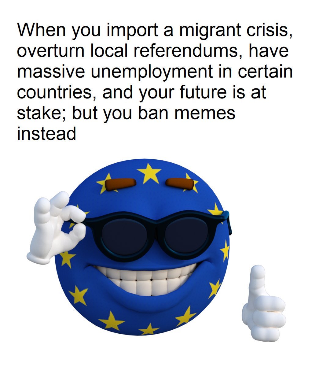 When you import a migrant crisis, overturn local reterendums, have massive unemployment in certain countries, and your future is at stake; but you ban memes instead