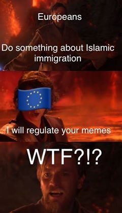 Europeans Do something about Islamic immigration will regulate your memes W--?!?