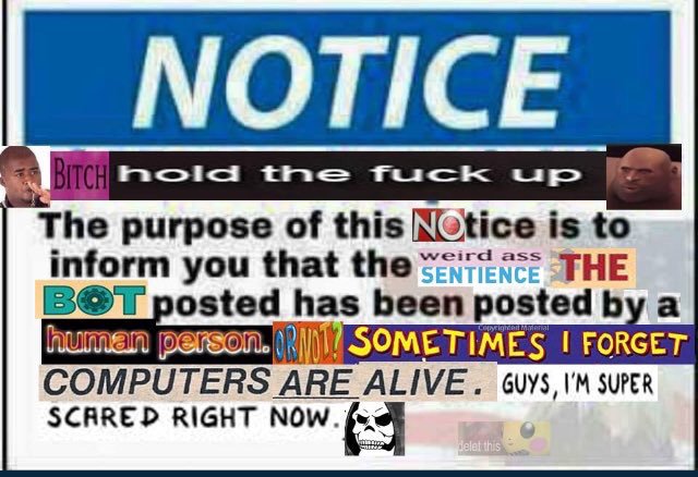 NOTICE ITCH hold tne f--- up The purpose of this Notice is to inform you that the SENTIENCE THE BOT posted has been posted by a human person.RM SOMETIMES I FORGET COMPUTERS ARE ALIVE. GUYS,I'M SUPER SCARED RIGHT NOW. elet this