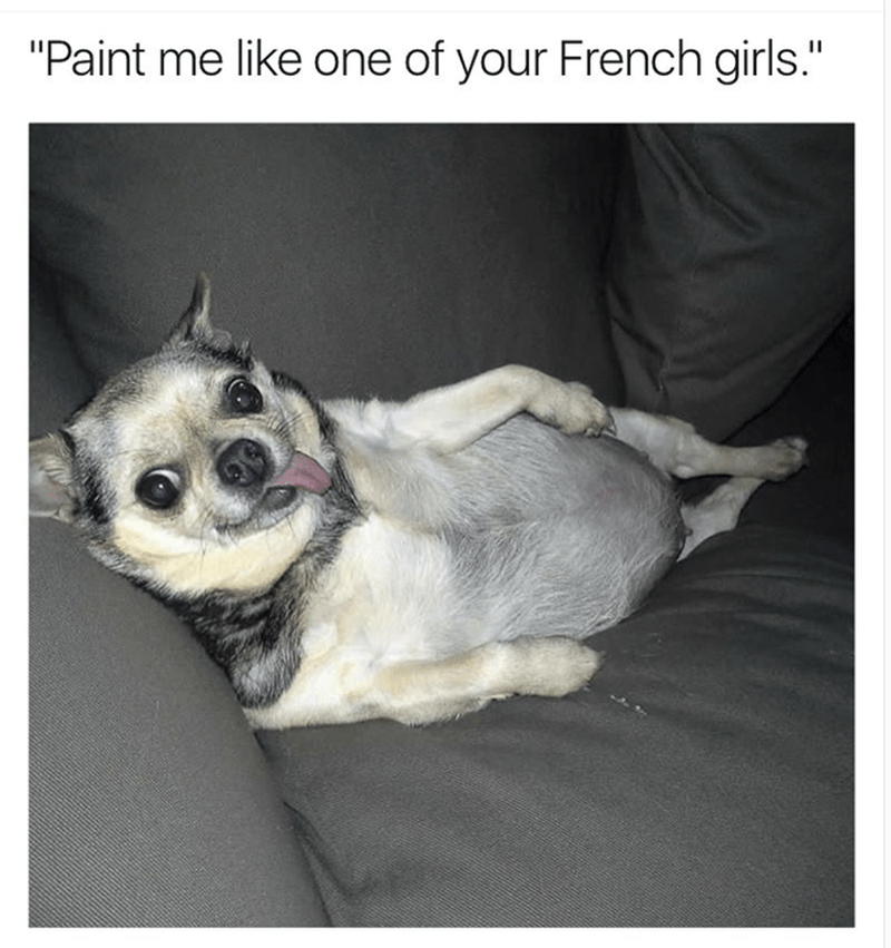 13th meme in a list of memes on memebase in which a cute "dog":/memes/subcultures/dogs is lying on the couch with caption of the meme above it.