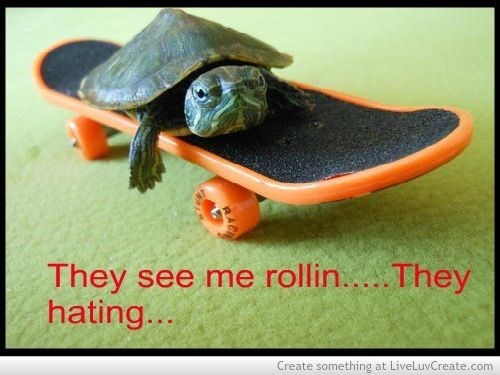 Funny picture of a turtle riding a "skateboard":/memes/cultures/skateboarding with the They See Me Rollin' They Hating catchphrase as the caption.