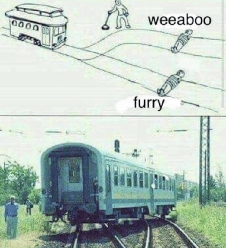 0 Weeaboo furry