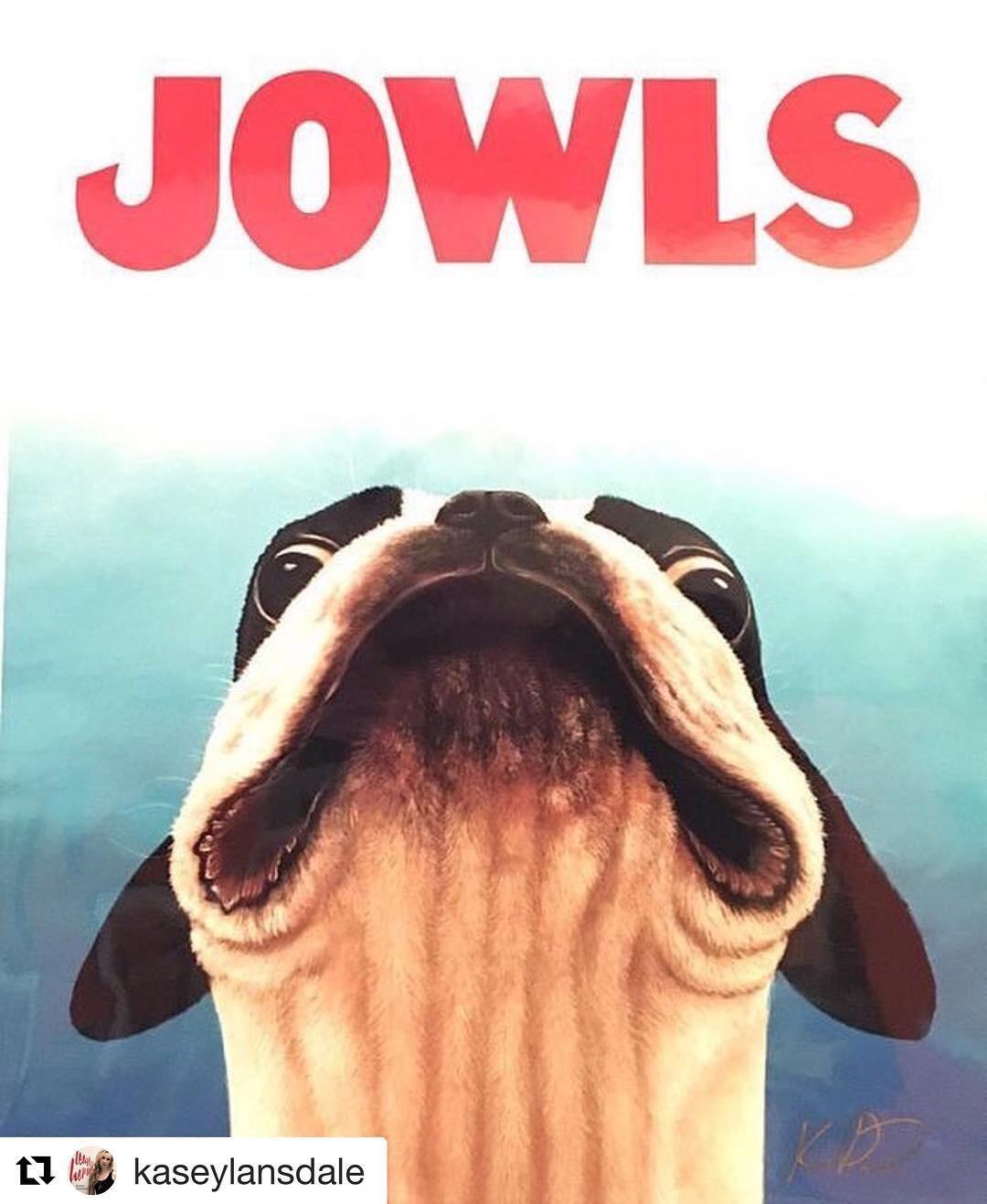 We re Gonna Need A Bigger Kennel Jaws Poster Parodies Know Your Meme