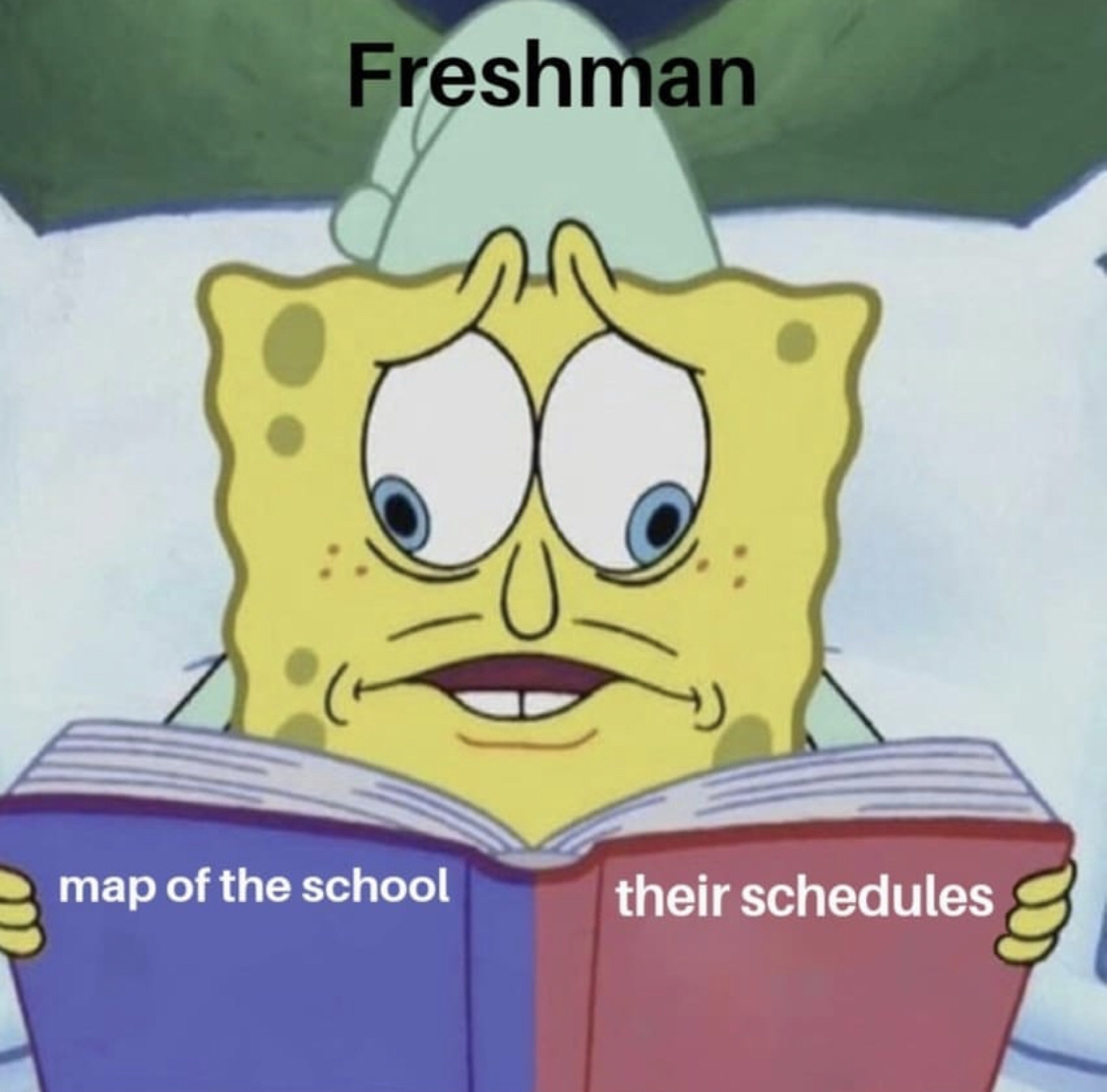 spongebob freshman