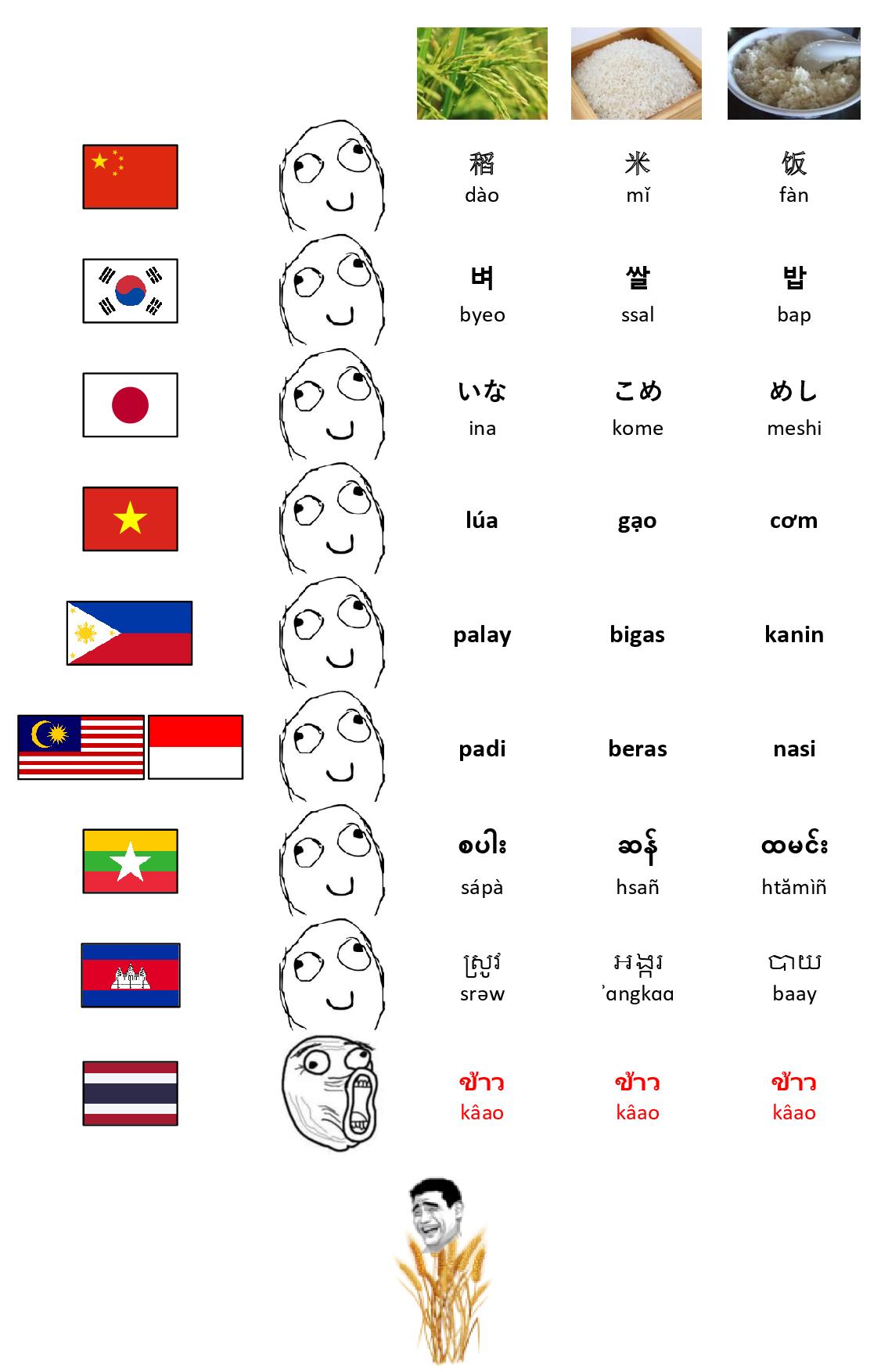 Major East and Southeast Asian languages have distinct words for rice