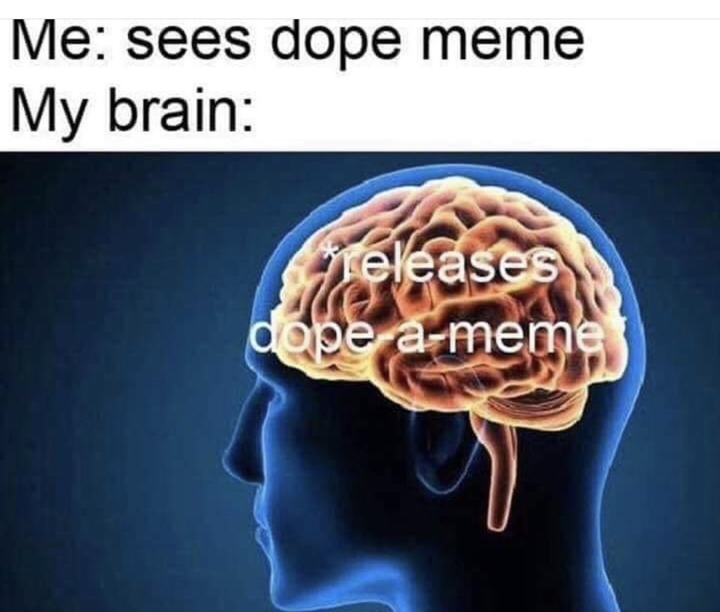 Me: sees dope meme My brain: eleases dope a memet