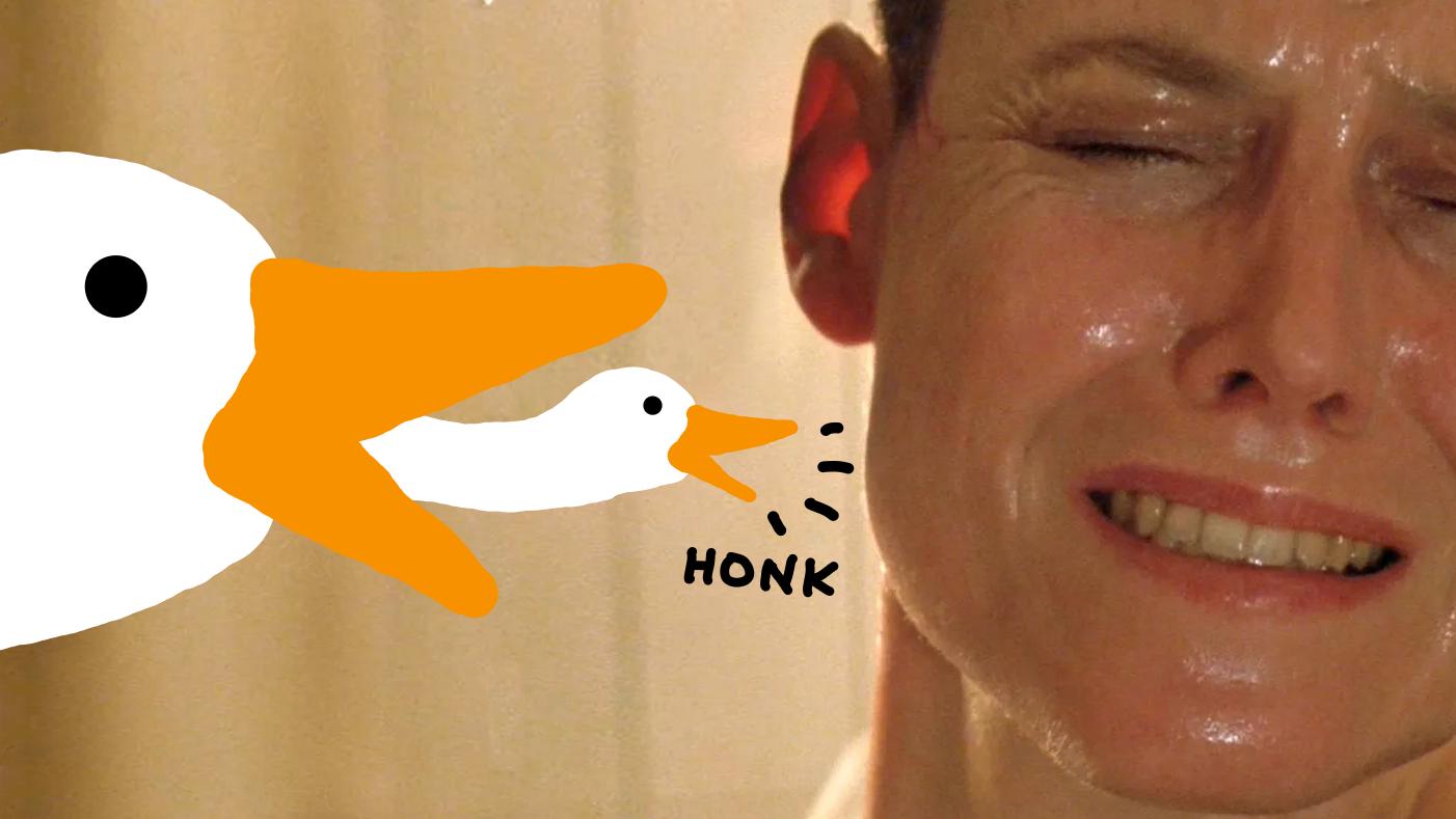 HONK