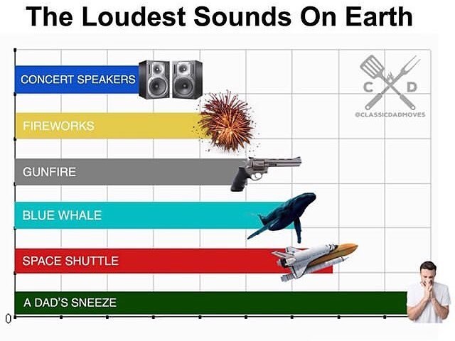 The Loudest Sounds On Earth CONCERT SPEAKERS CXD OCLASSICDADHOVES FIREWORKS GUNFIRE BLUE WHALE SPACE SHUTTLE A DAD'S SNEEZE 0