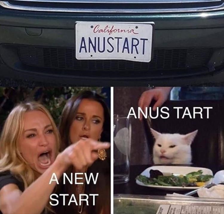 California ANUSTART ANUS TART A NEW START