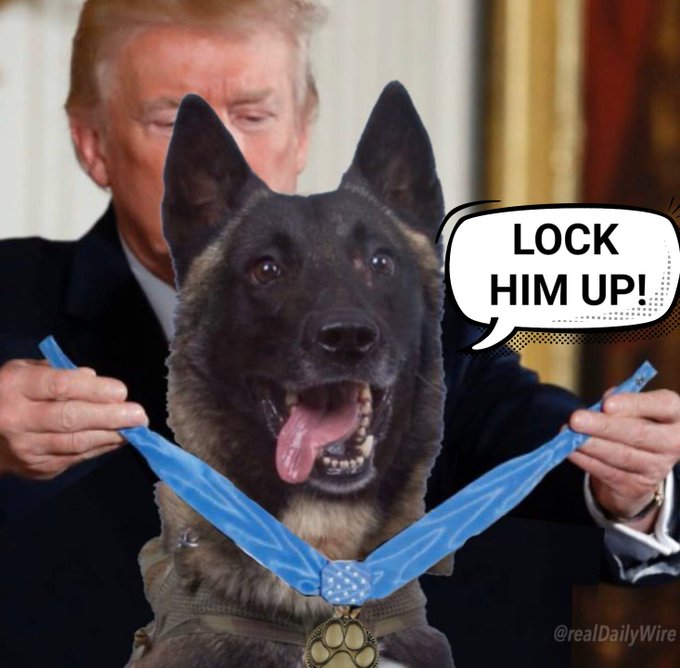 Lock Him Up