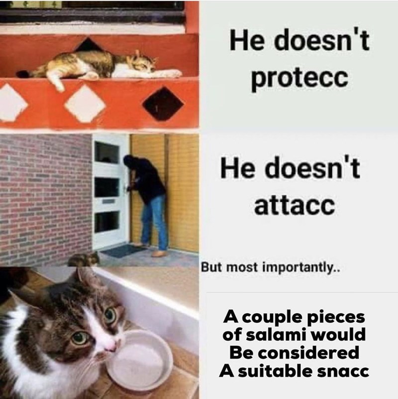 He doesn't protecc He doesn't attacc But most importantly.. A couple pieces of salami would Be considered A suitable snacc