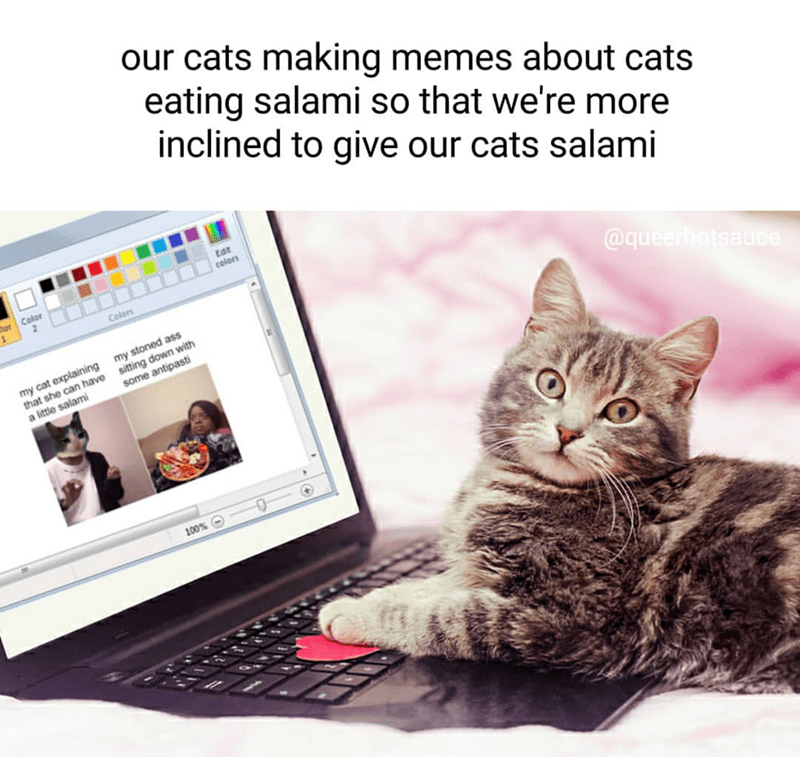 our cats making memes about cats eating salami so that we're more inclined to give our cats salami tdt colors hor Color Colors @queerhotsauce my cat explaining my stoned ass that she can have sitting down with a little salami some antipast 100%