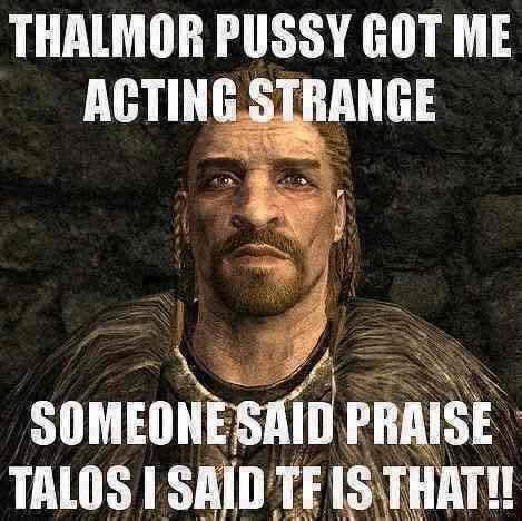 THALMOR P---- GOT ME ACTING STRANGE SOMEONE SAID PRAISE TALOS I SAID TEIS THAT!