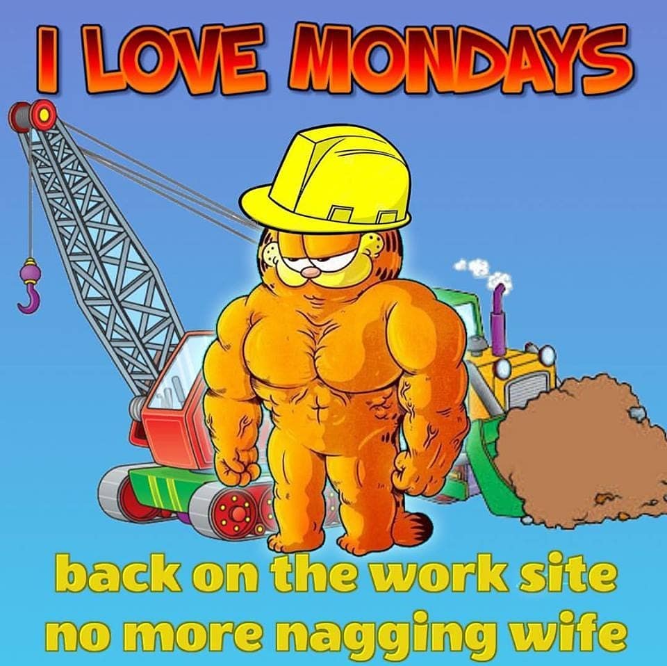 I Love Mondays Garfield Know Your Meme