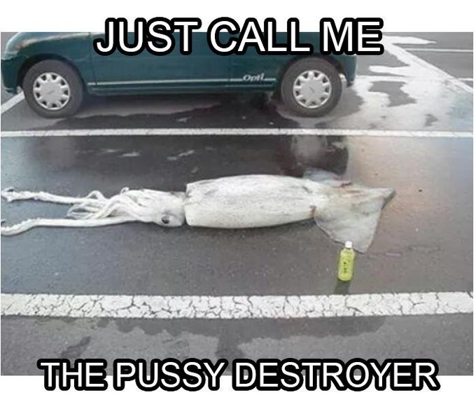 Tumblr pussy destroyer Destroyed Pussy