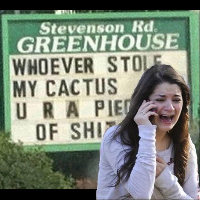 Stevenson Rd. GREENHOUSE WHOEVER STOLE MY CACTUS URA PIE OF S---