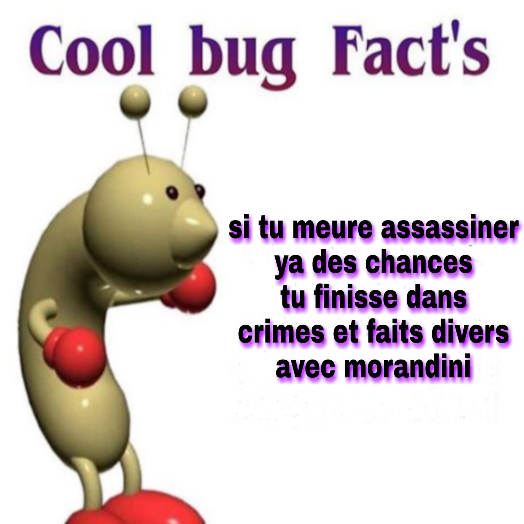 "If you die assassinated, chances are you end up in 'Crimes and Dead Donkeys' with Jean-Marc Morandini."

"Crimes et Faits Divers" ('Crimes and Dead Donkeys') is a French television programme which focuses on crime news.