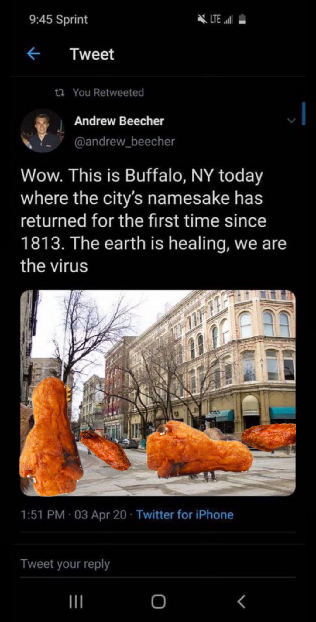 9:45 Sprint * LTE l Tweet t3 You Retweeted Andrew Beecher @andrew_beecher Wow. This is Buffalo, NY today where the city's namesake has returned for the first time since 1813. The earth is healing, we are the virus 1:51 PM · 03 Apr 20 · Twitter for iPhone Tweet your reply