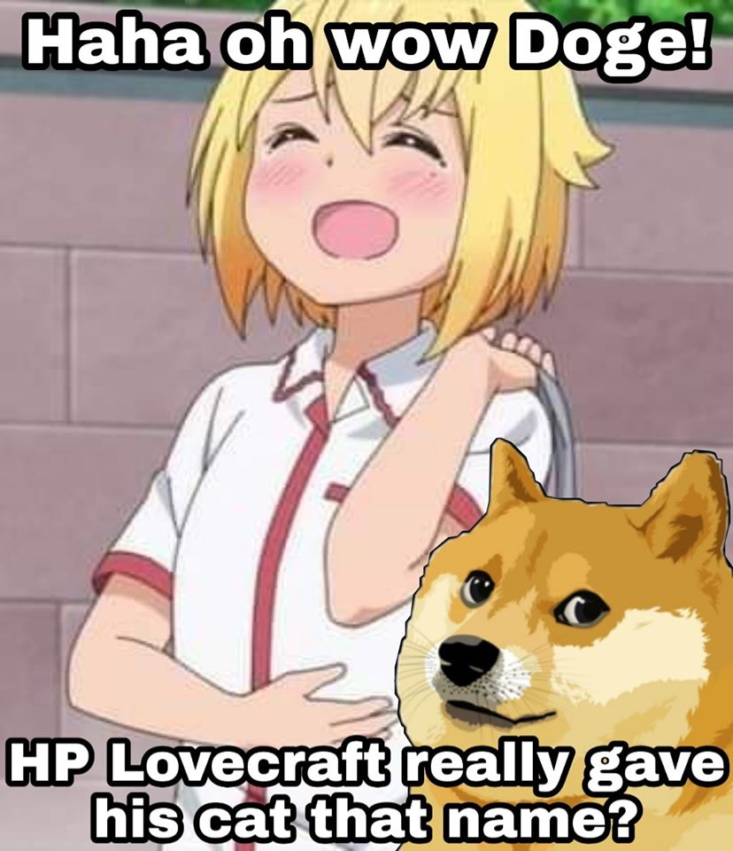 Really Doge H P Lovecraft s Cat Know Your Meme