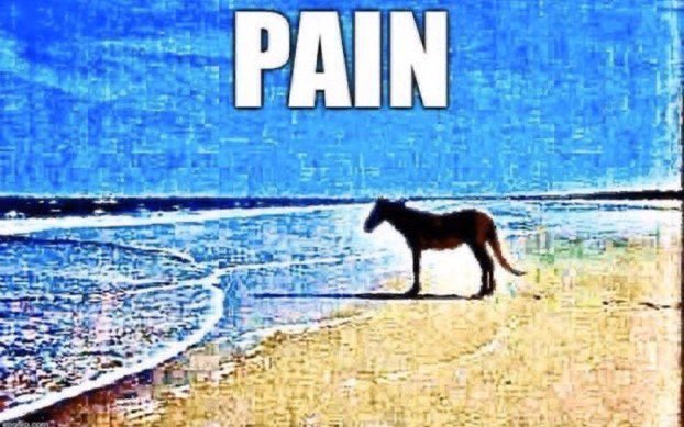 PAIN | Pain / How Do You Manage Pain? | Know Your Meme