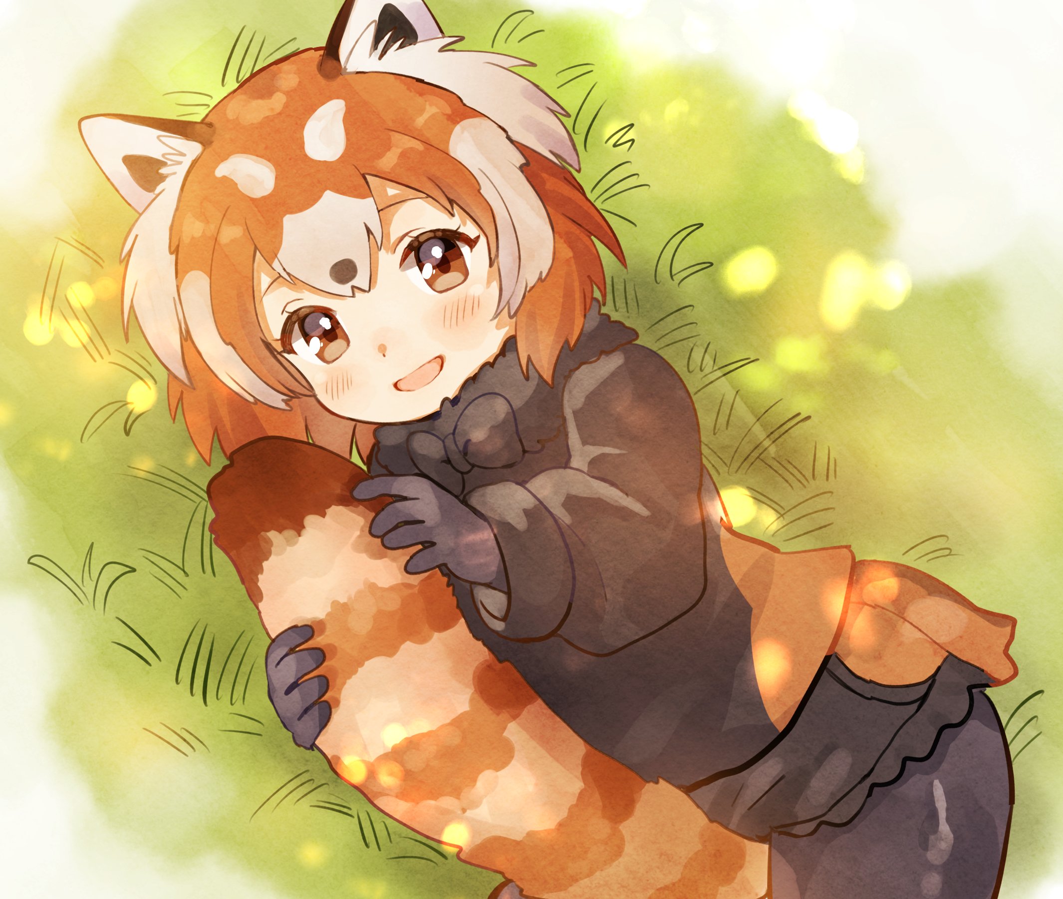 Red Panda Nap Kemono Friends Know Your Meme