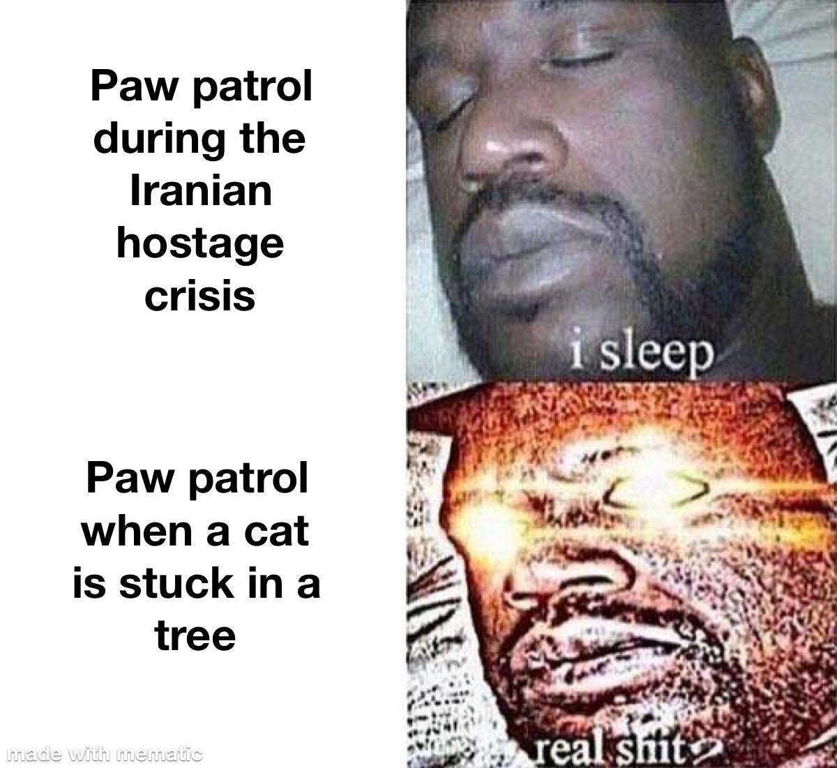 Paw patrol during the Iranian hostage crisis i sleep Paw patrol when a cat is stuck in a tree real sit made with mematic