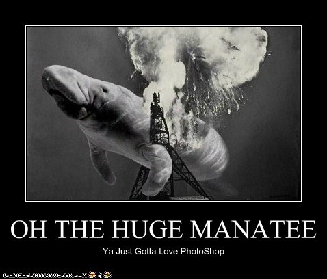 OH THE HUGE MANATEE Ya Just Gotta Love PhotoShop TOANHASCHEEZBURGER.COM