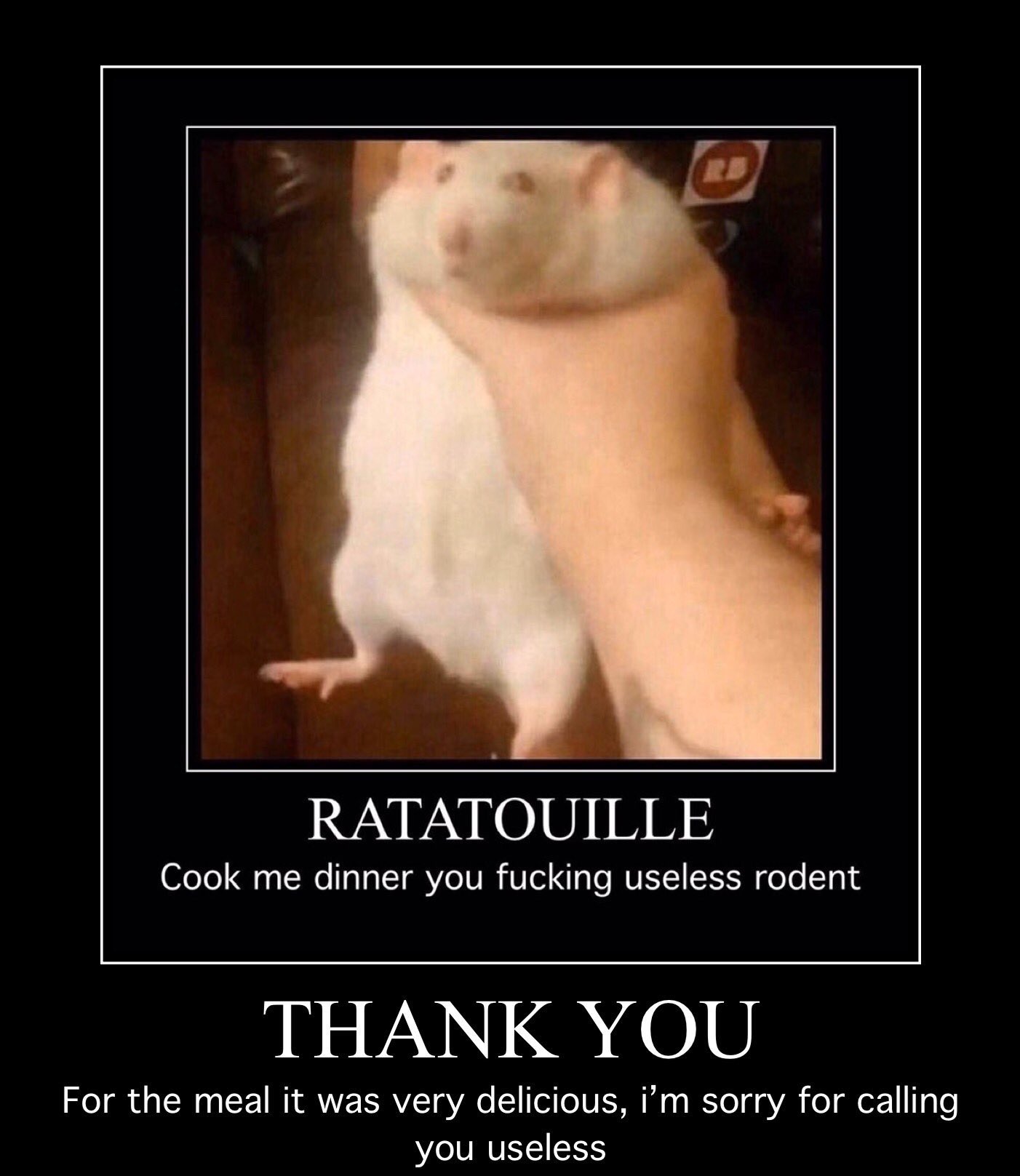 RB RATATOUILLE Cook me dinner you f------ useless rodent THANK YOU For the meal it was very delicious, i'm sorry for calling you useless