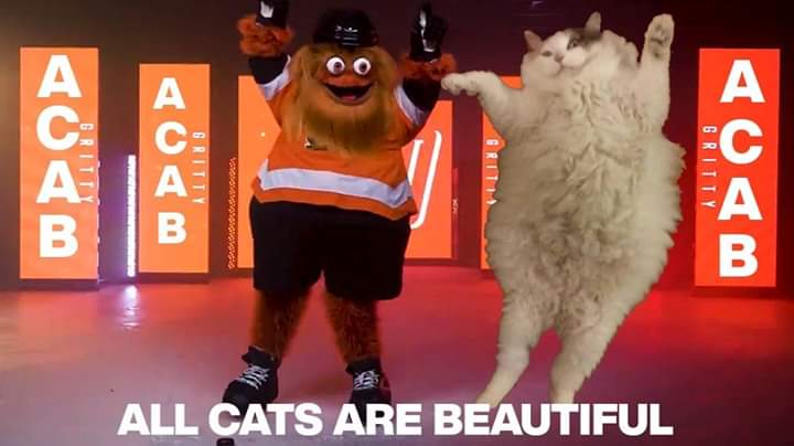 A A A A B ALL CATS ARE BEAUTIFUL ACAB GRITTY GRITIA