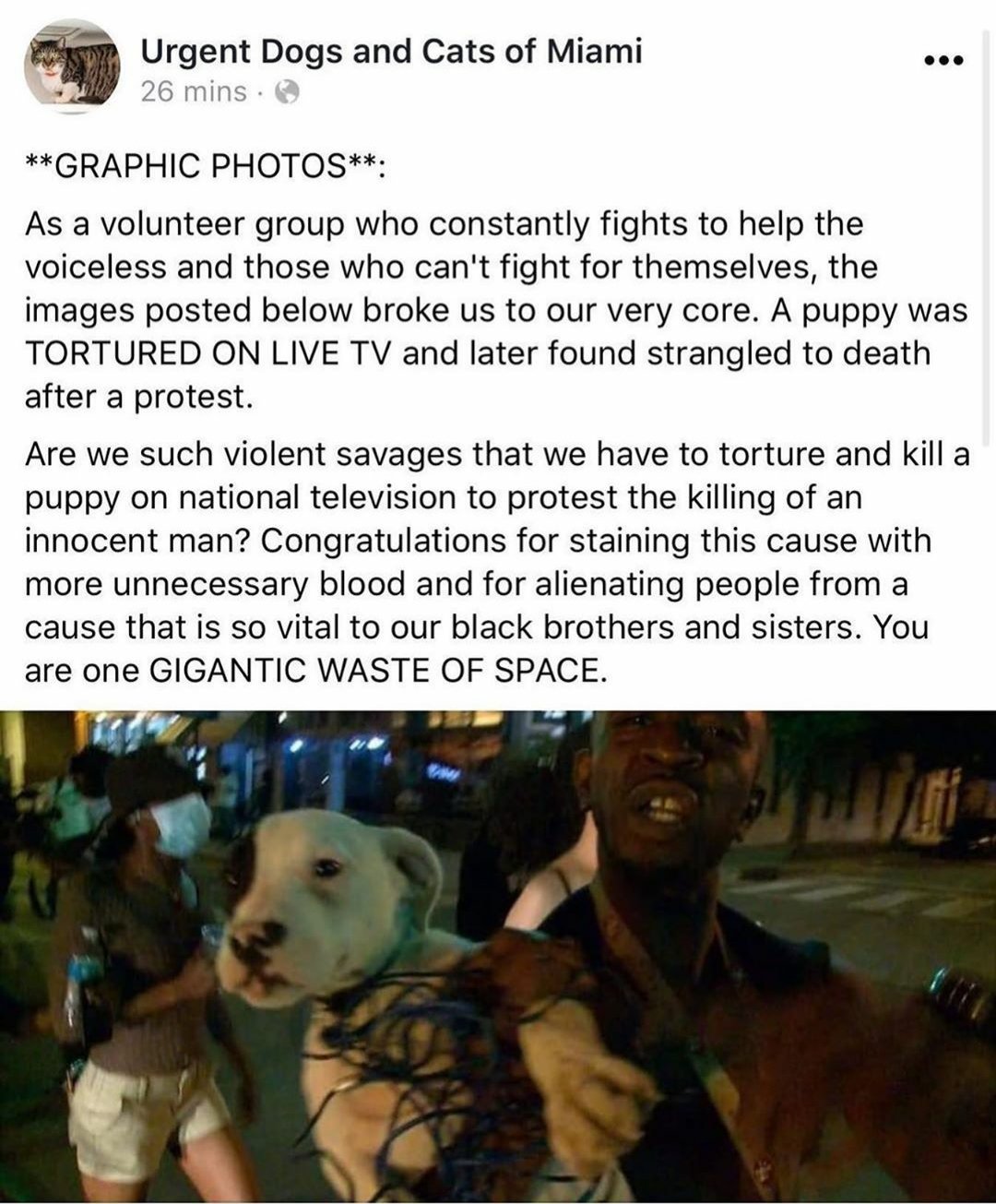 Urgent Dogs and Cats of Miami 26 mins . •.. **GRAPHIC PHOTOS**: As a volunteer group who constantly fights to help the voiceless and those who can't fight for themselves, the images posted below broke us to our very core. A puppy was TORTURED ON LIVE TV and later found strangled to death after a protest. Are we such violent savages that we have to torture and kill a puppy on national television to protest the killing of an innocent man? Congratulations for staining this cause with more unnecessary blood and for alienating people from a cause that is so vital to our black brothers and sisters. You are one GIGANTIC WASTE OF SPACE.