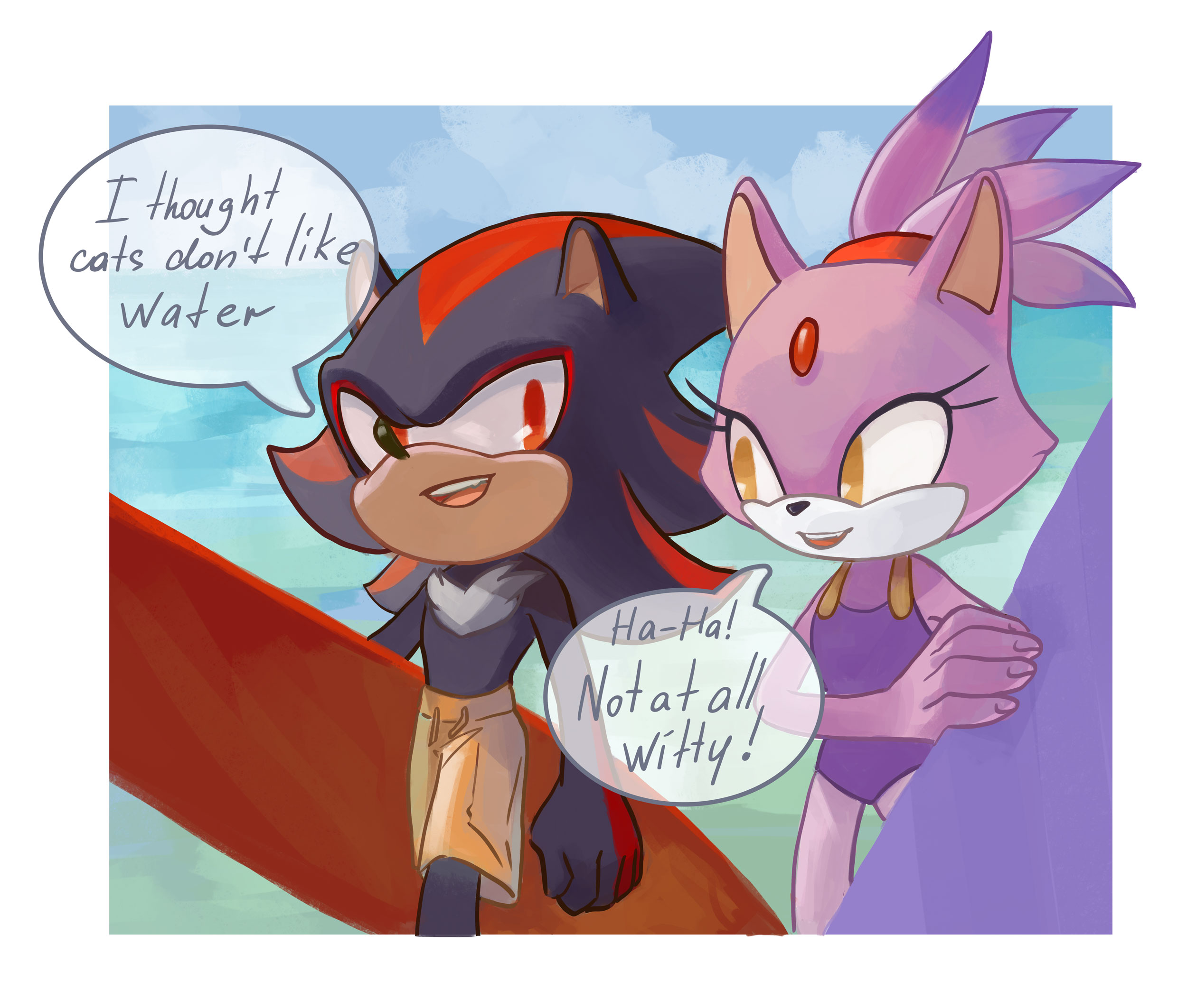 blaze the cat and shadow the hedgehog