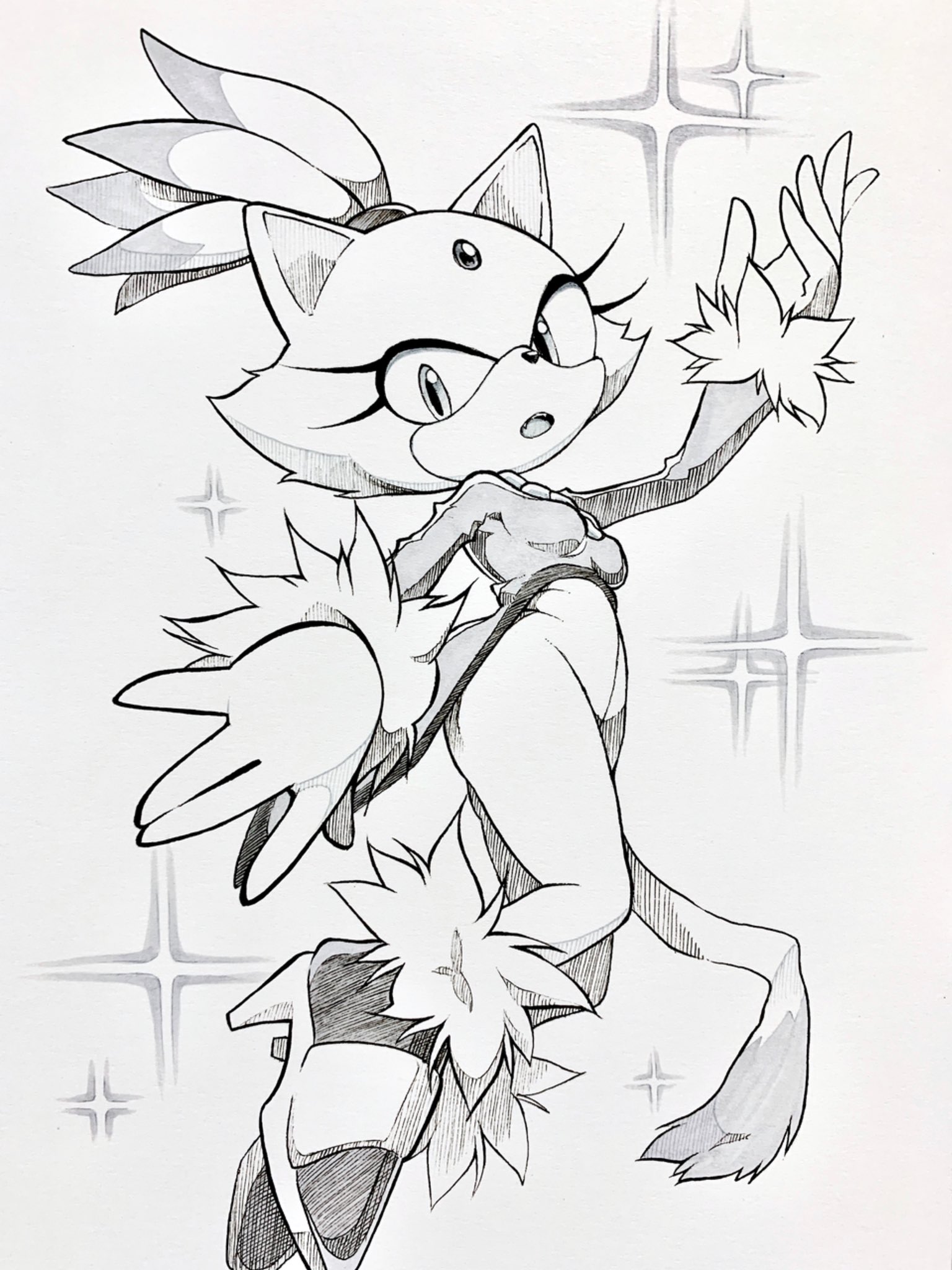 sonic the hedgehog blaze coloring pages